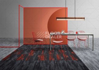 IVC Shared Path на акустической основе Echo Acoustic 924 фото 2 | FLOORDEALER